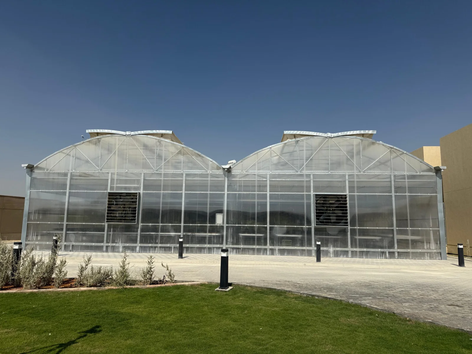 Venlo Greenhouses