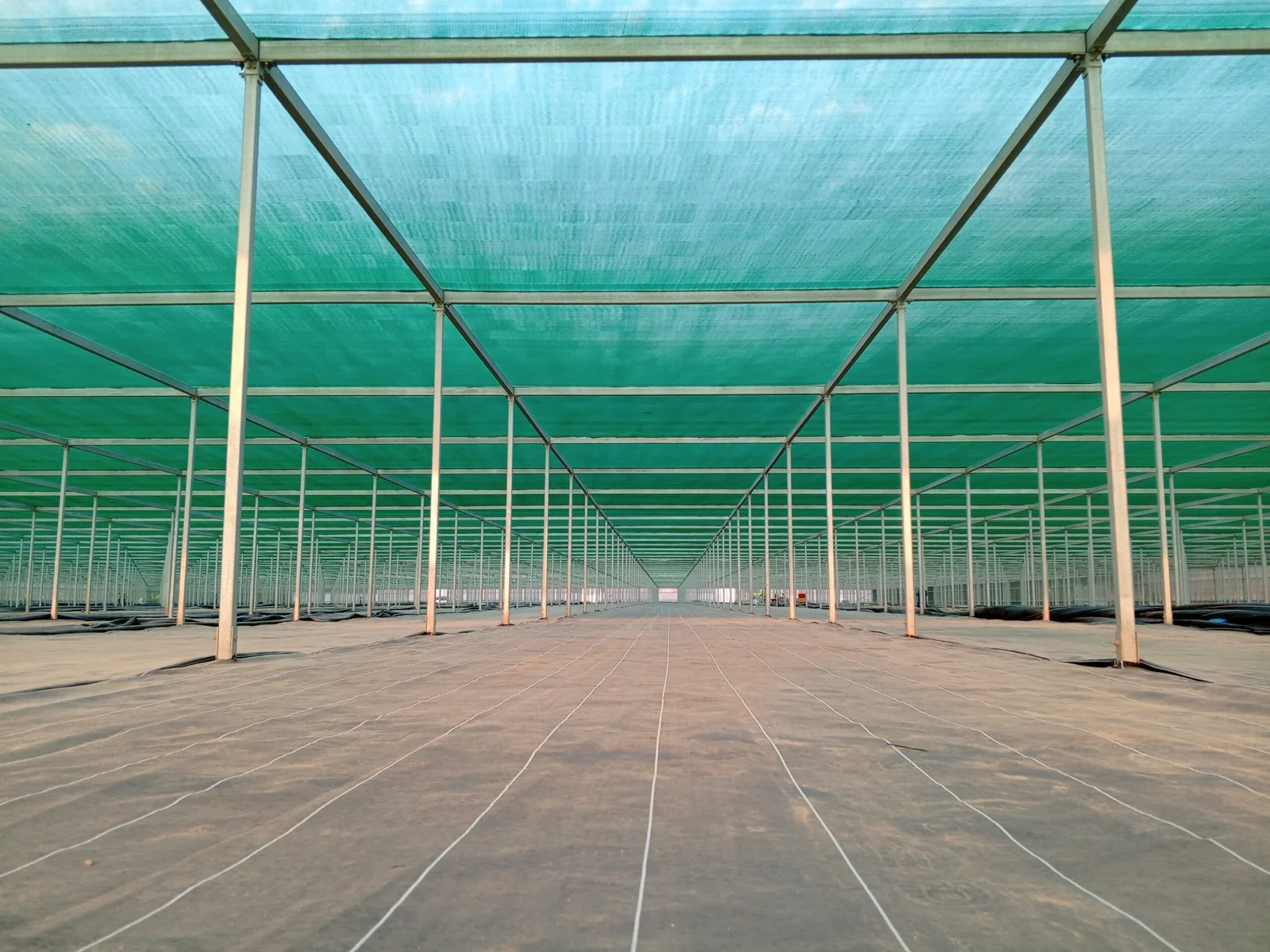UID greenhouse structures in Saudi Arabia