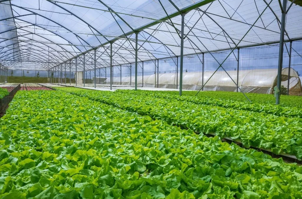 من السماء إلى التربة… الحل الذكي للري المستدام