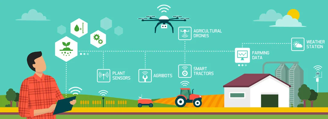 How Data Analytics in Agriculture Transforms Crop Management
